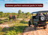 7 summer-perfect national parks in India promising an unforgettable escape; best time to visit and more