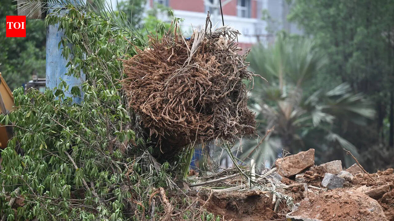 BRS opposes tree felling in KBR Park: KTR