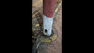 7 trees ‘poisoned’ on Kalyan Smart City Road, finds KDMC; files police complaint