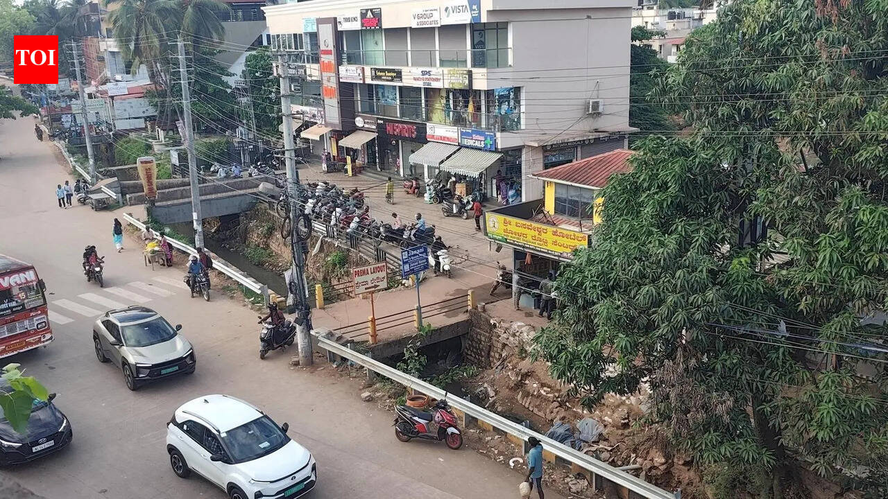 NHAI launches flood mitigation measures for DK, Udupi