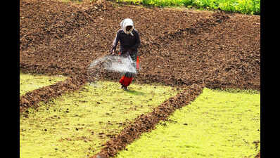 Fertiliser prices soar ahead of Kharif, farmers fear another crushing season in AP