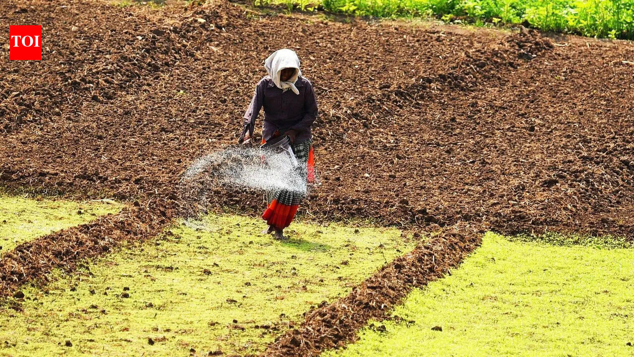 Fertiliser prices soar ahead of Kharif, farmers fear another crushing season in AP