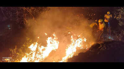Forest fires scorch 318 hectares in Uttarakhand this season