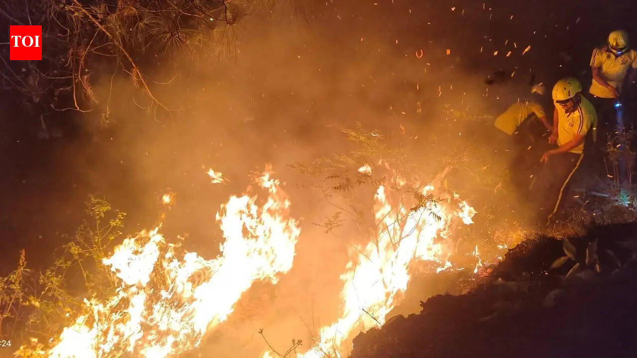 2 dead as forest fires rage on in U’khand