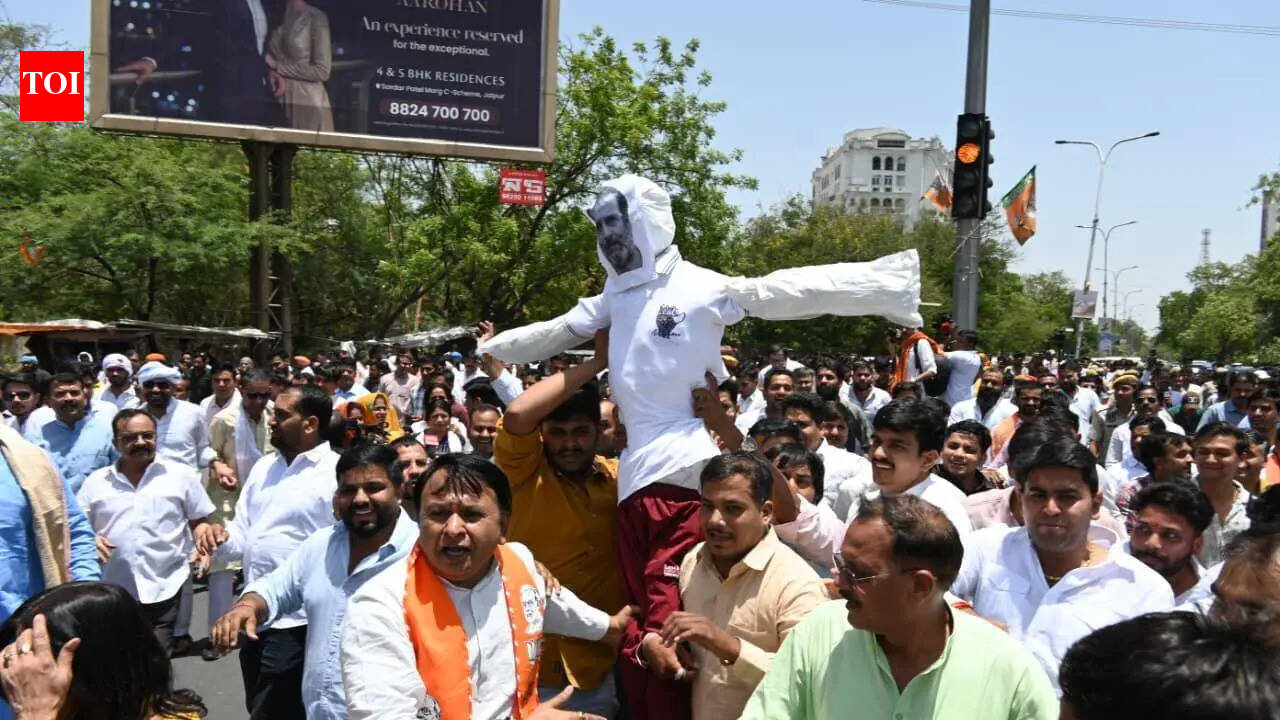 BJP protests Rahul’s remarks against PM Modi, Shah