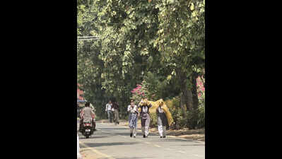 City feels May singe as heatwave rages on