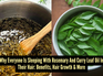 Rosemary and curry leaf oil for hair: Benefits, how to use, and why it&rsquo;s trending