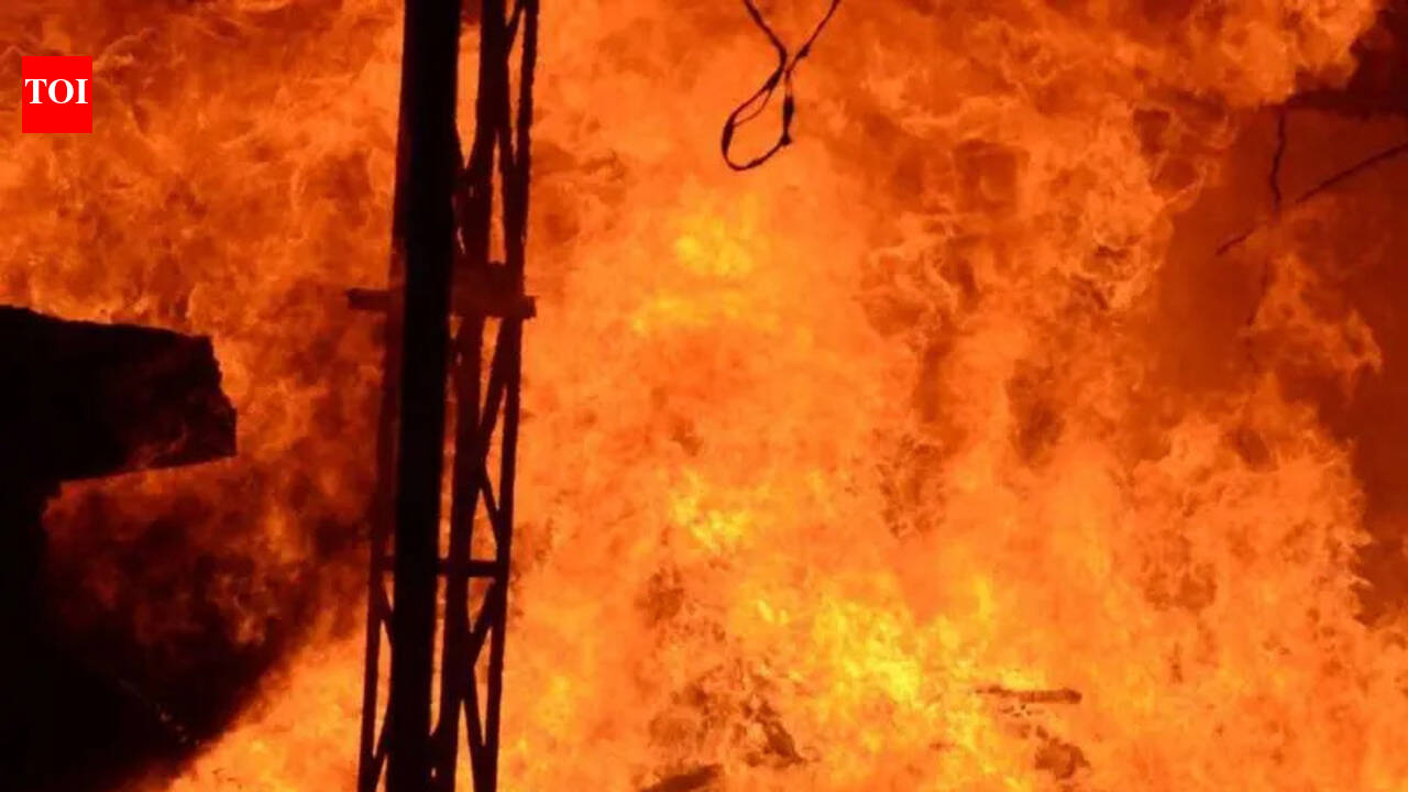 Woman self-immolation bid foiled in Rohtas