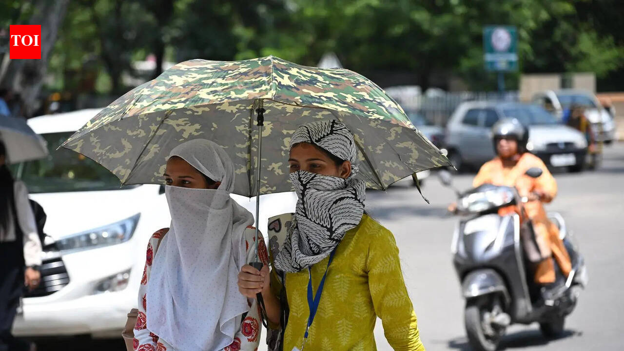 Dehradun stays above 40°C for 2nd day as state swelters under heatwave