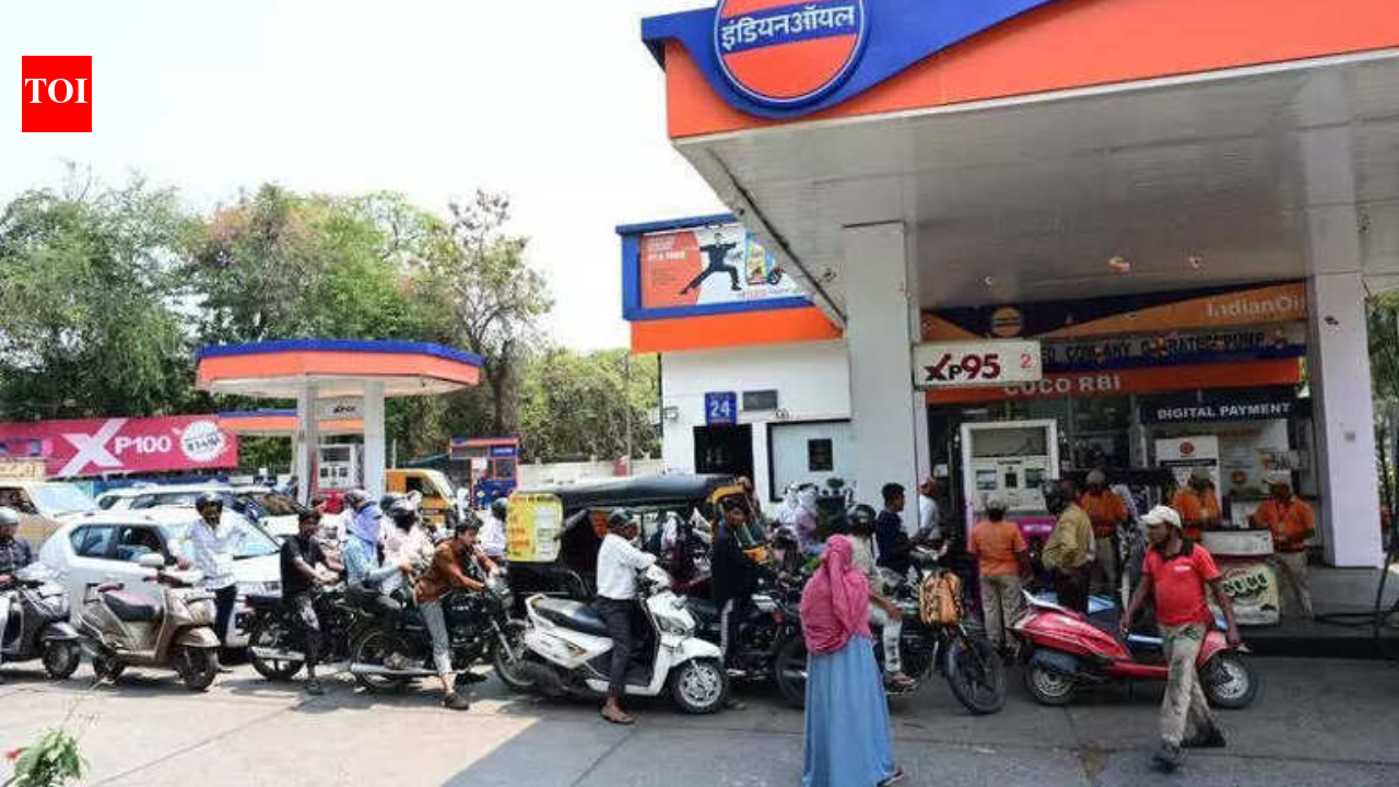No rationing of fuel, bulk consumers leading to long queues: Govt