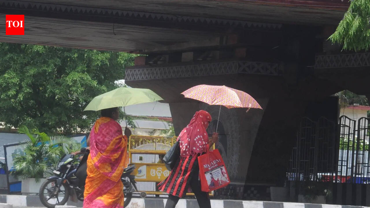 Bhubaneswar swelters as real feel soars to 52°C