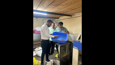  2,000kg of rotten almonds used in ice cream, golas seized