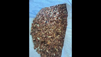  2,000kg of rotten almonds used in ice cream, golas seized