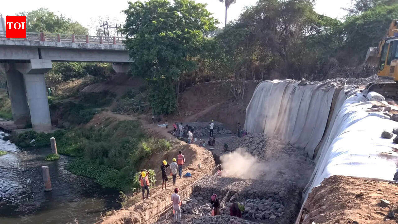 Work on gabion walls to secure eroding Vishwamitri banks begins