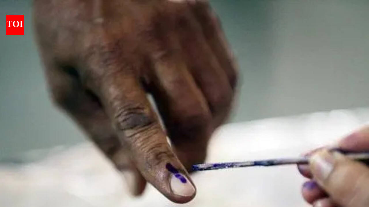 Foreign passport-holding Lankan Tamil arrested for illegal voting in Tamil Nadu elections