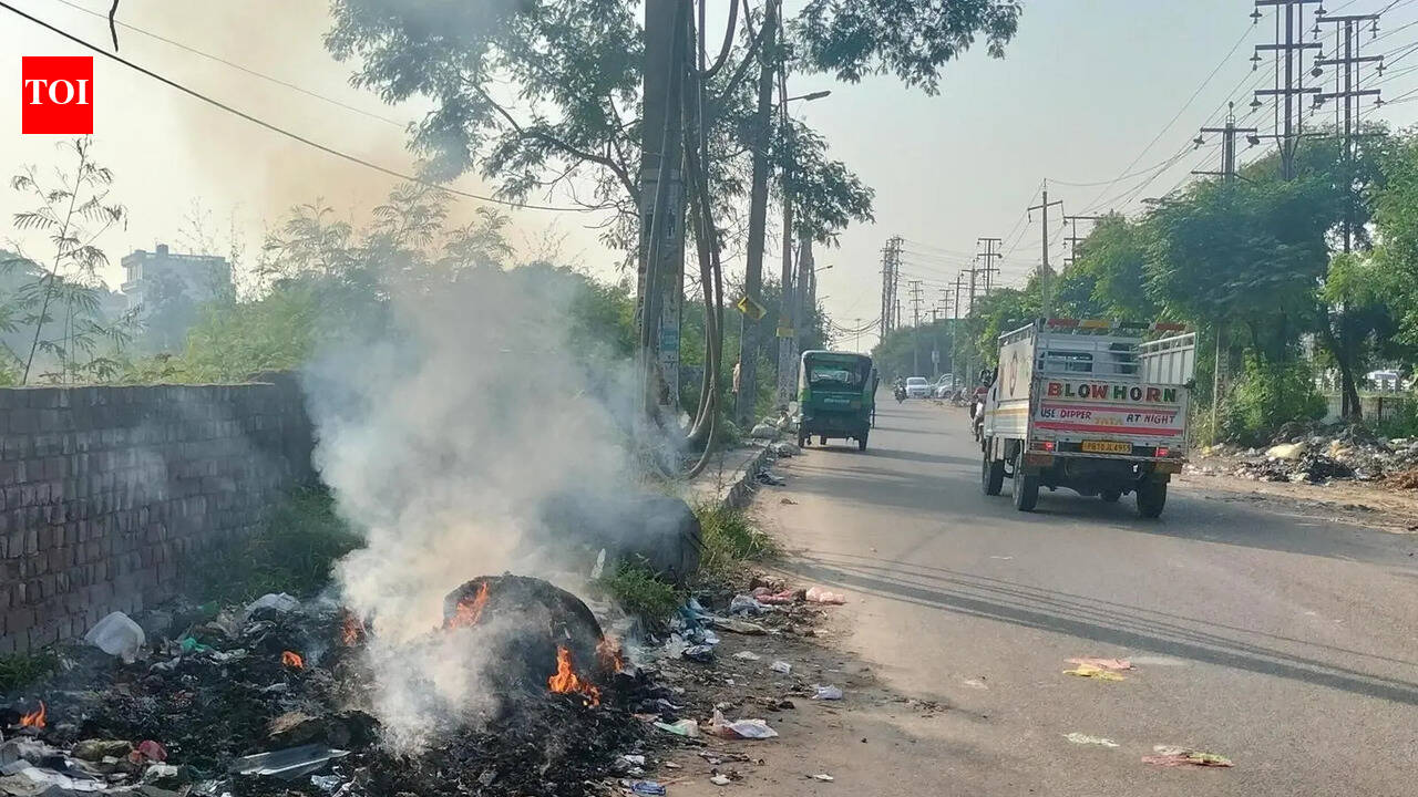 Ludhiana among top 2 in metro cities for breaking green laws