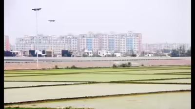 Noida plot decree pending for 40 years