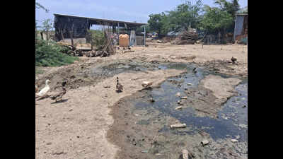 200 residents of Seppakam, an ash village near Ennore’s fly ash pond, await relocation