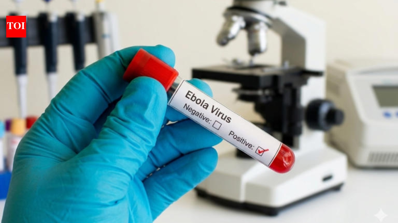 Ebola outbreak forces India to put off Africa summit