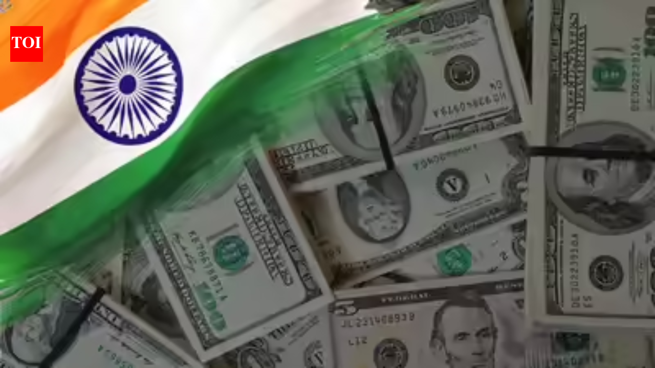 Bankers pitch RBI-backed FX hedge