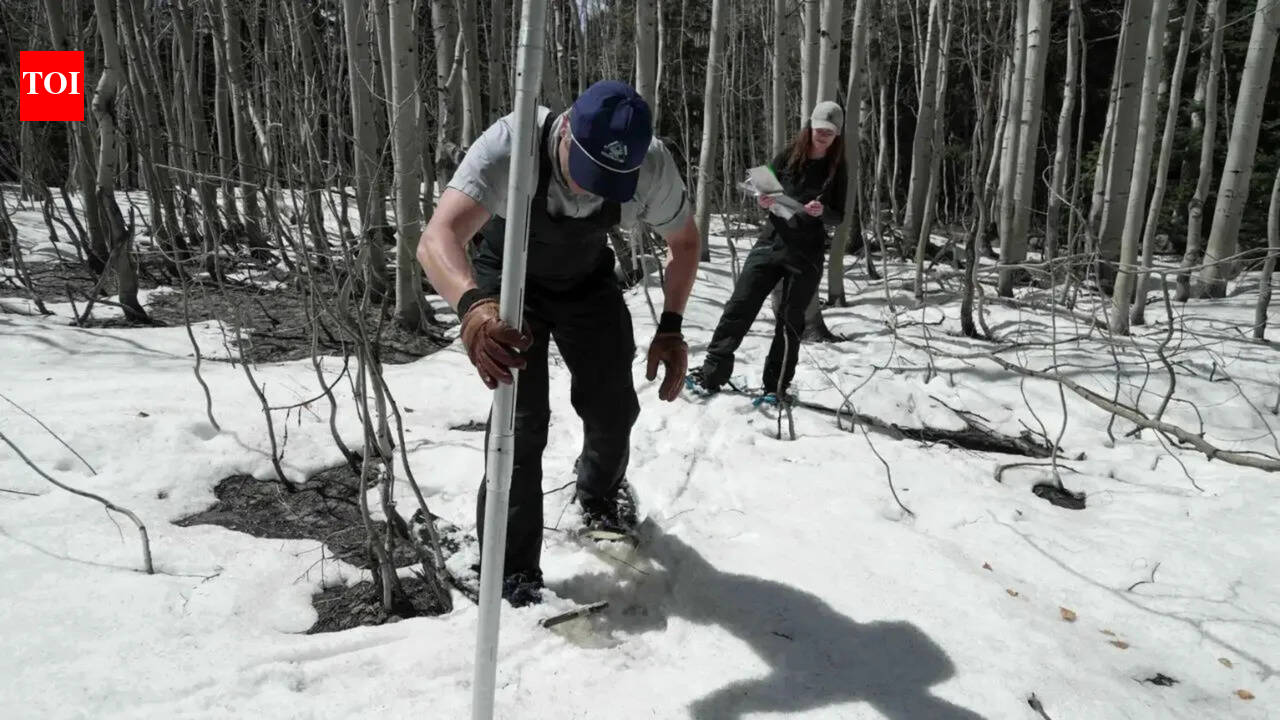 With record-low snow, Colorado preps for wildfire onslaught