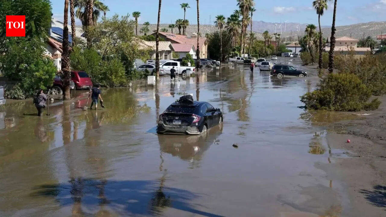 Atlantic hurricane season forecast to be milder than normal thanks to El Nino