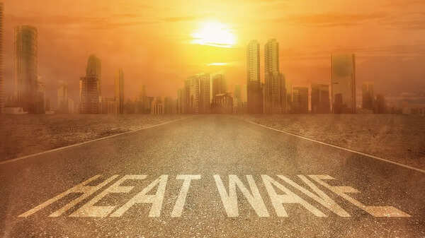 Travel advisory: IMD warns of dangerous heat across these states, and heavy rain in hill states &ndash; What travellers need to know