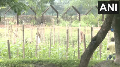 India-Bangladesh border fencing work begins in West Bengal's Siliguri after land transfer to BSF