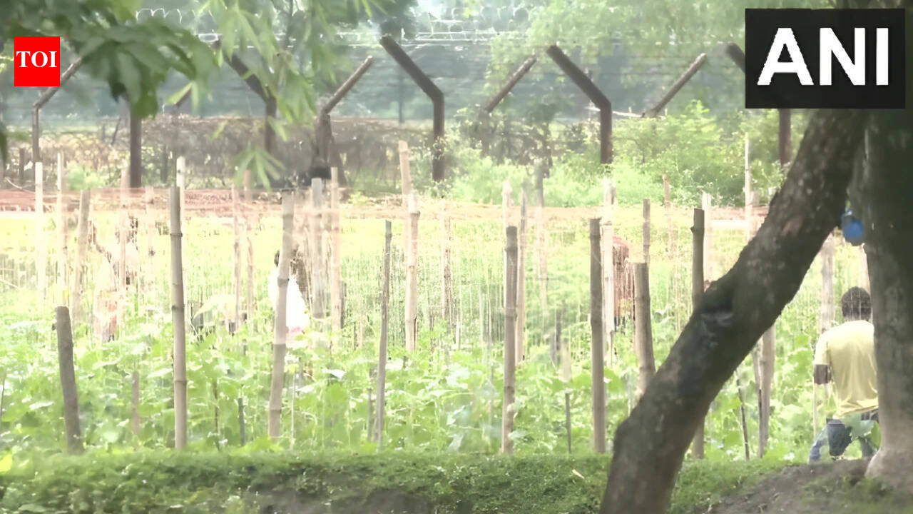 India-Bangladesh border fencing work begins in West Bengal's Siliguri after land transfer to BSF