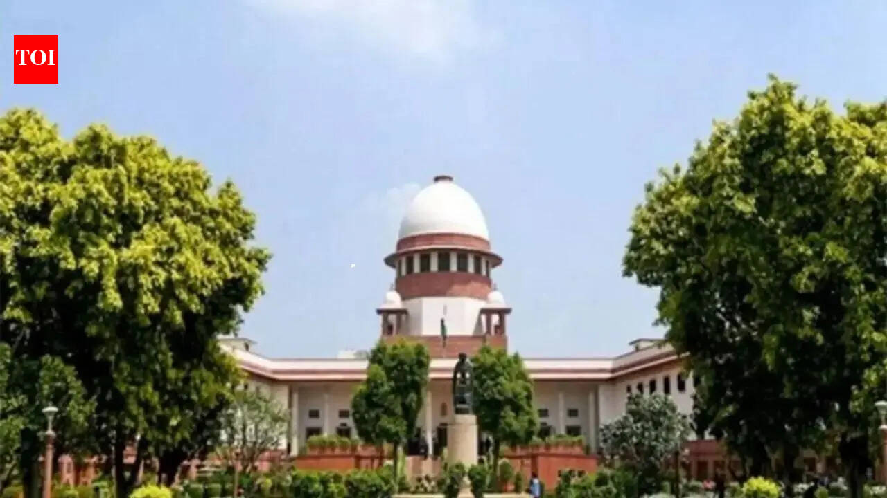 Political banter finds its way into legal arguments in SC