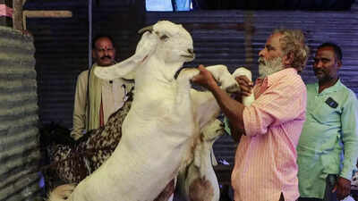 ‘No sacrifice of cows, calves, camels’: Ahead of Bakrid, Delhi govt warns against illegal slaughter, guidelines issued