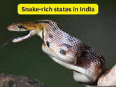 7 snake-rich states in India and what every wildlife traveller should know about them