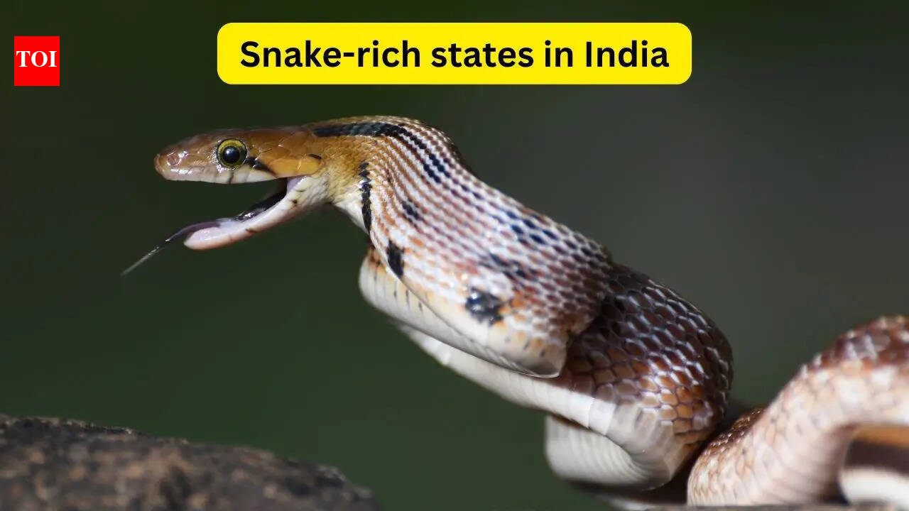 rich states in India and what every wildlife traveller should know about them