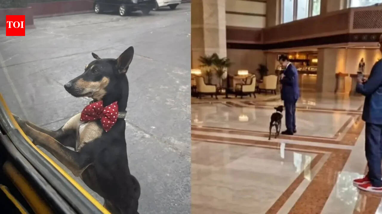 Meet Thumki, the four-legged resident who rules Kolkata’s Taj Bengal hotel
