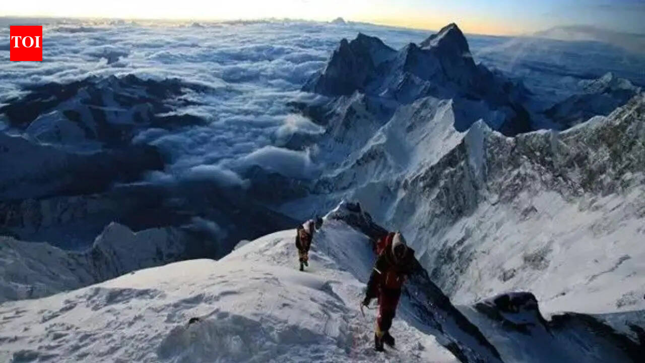 ‘Unable to save them’: Two Indian mountaineers die during Everest descent