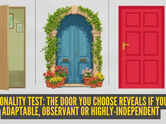 Personality test: Open door, blue door with flowers and a pot, or plain red door? The door you choose reveals if you're adaptable, observant or highly-independent