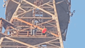 Madhya Pradesh couple climbs telecom tower with toddler; rescued after 6-hr drama