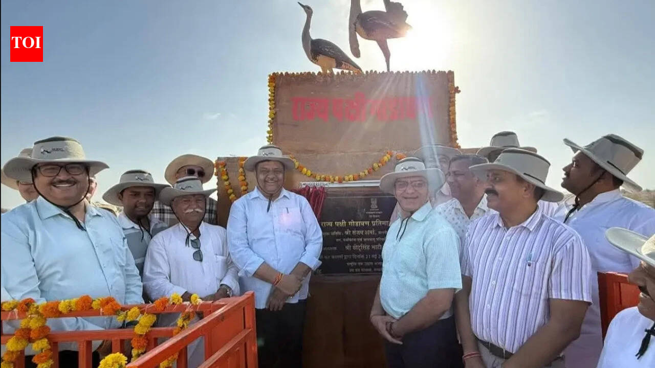 Rajasthan wildlife department to release captive-bred GIB chicks into natural wildlife habitats soon