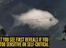 Optical illusion personality test: Fish or cloud? What you see first reveals if you are too sensitive or self-critical