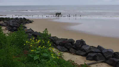 In 2000, a beach walk in Norfolk led to a 780,000-year-old clue that reshaped early human history