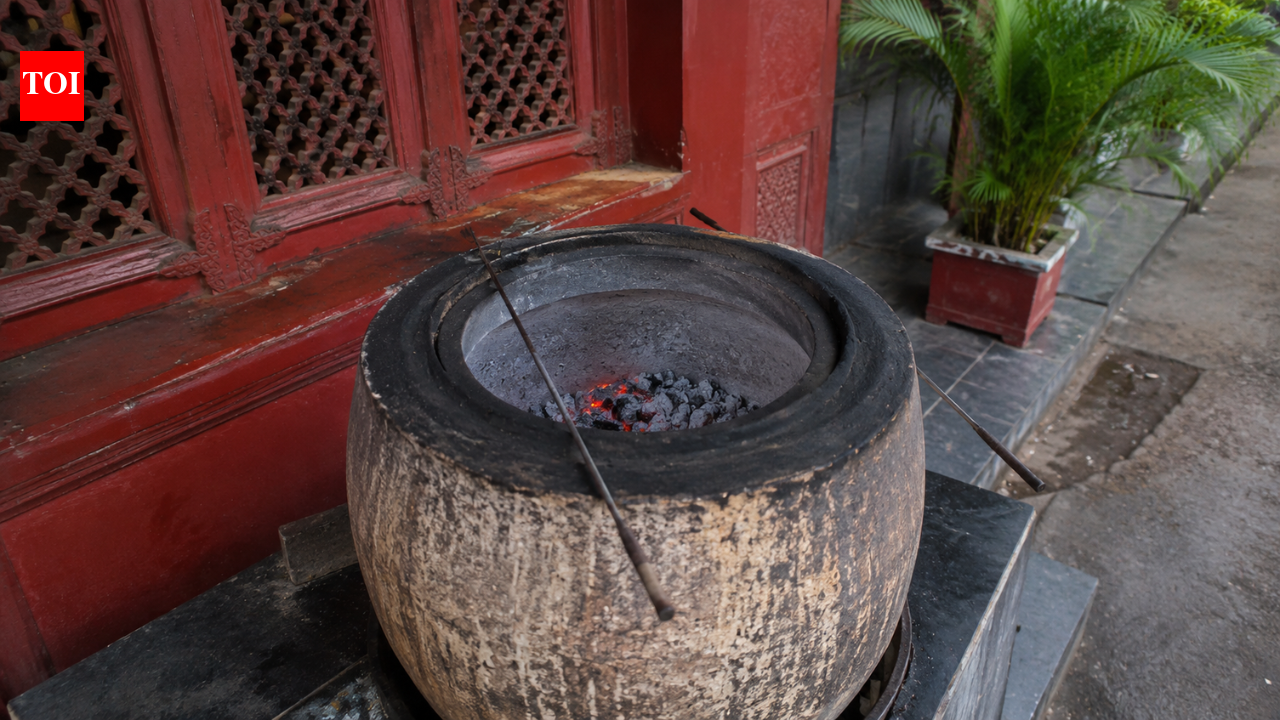 'Started barking at him': Chandigarh man arrested for throwing puppy into burning tandoor