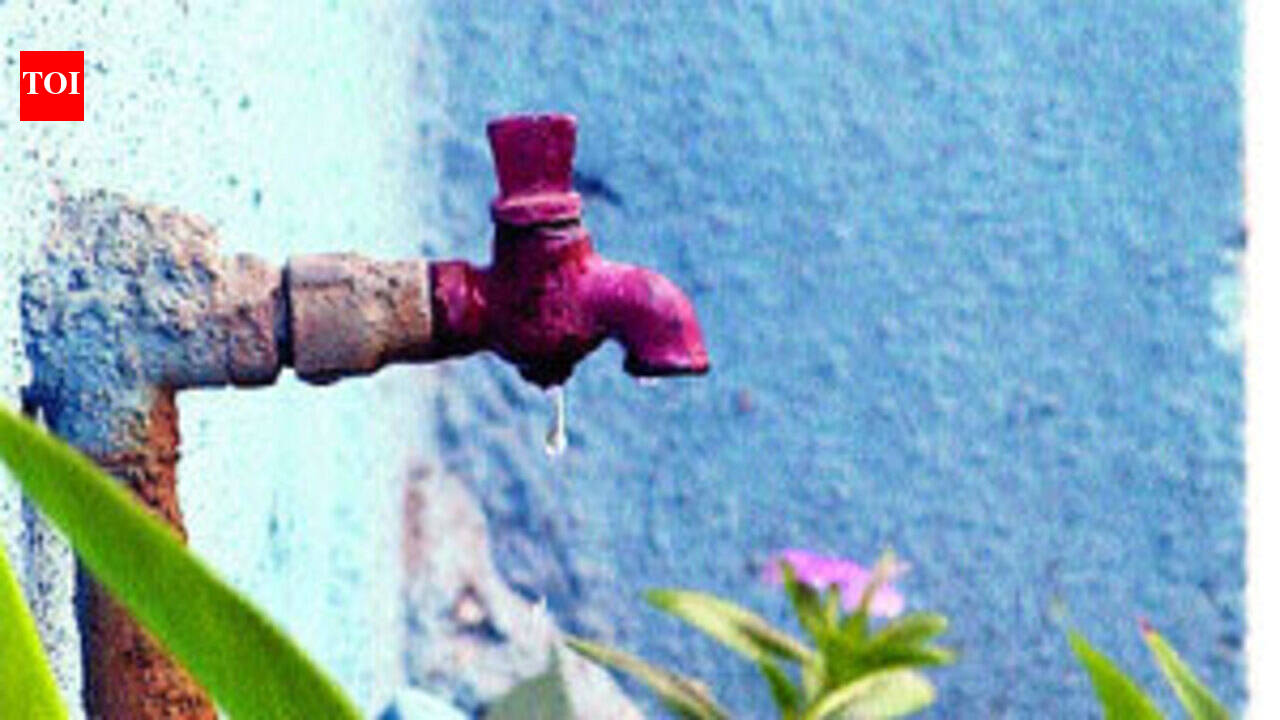 Acute water shortage hits 40 wards in Sasaram, forces many residents to relocate