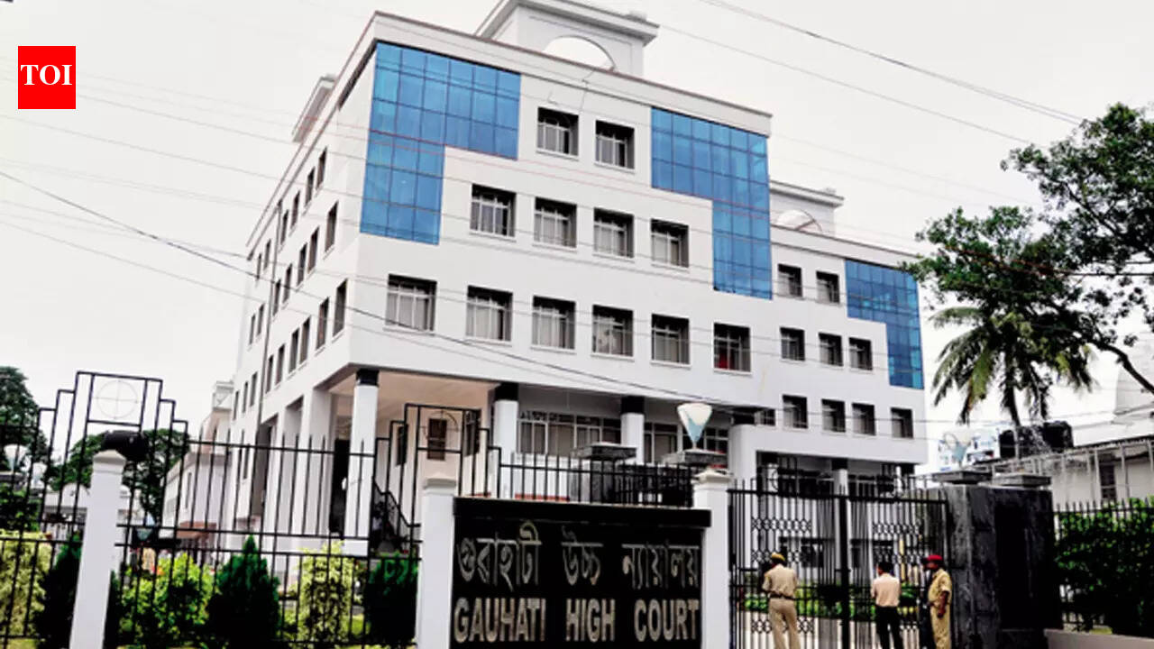 Gauhati HC’s SOP for 1 month: Virtual hearings, car-pooling, half staff