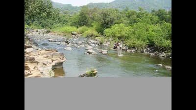 Mahadayi diversion may spur eco crisis &  desertification, warn experts