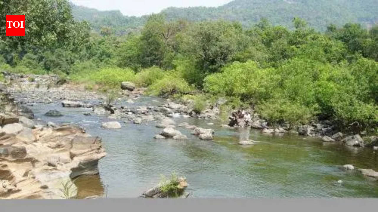 Mahadayi diversion may spur eco crisis &amp; desertification, warn experts