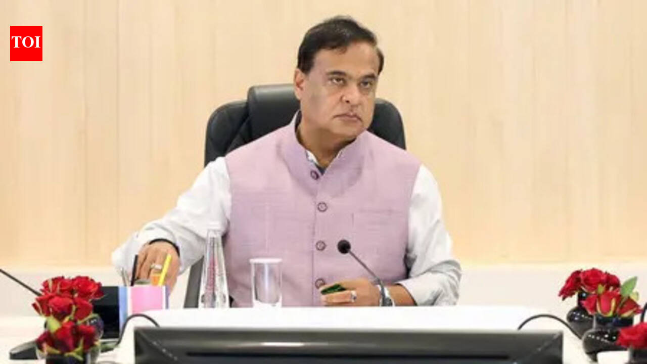 Detect &amp; deport policy in action: Bangladeshi sent back