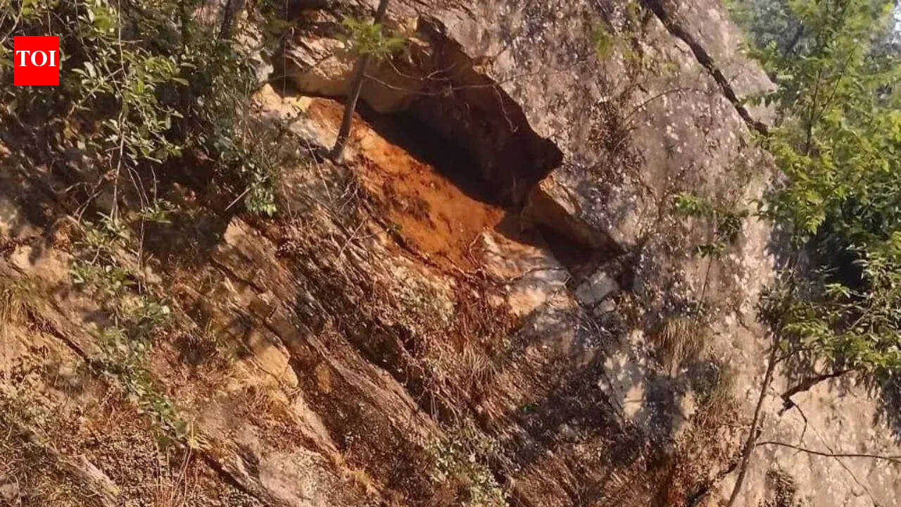 Boulder falls near Kedarnath base camp, kills labourer
