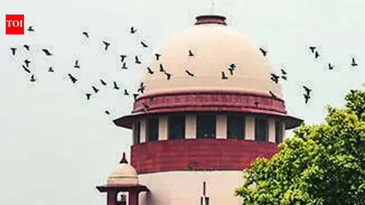 SC grants bail to Ahilyanagar murder accused after 10 years as undertrial