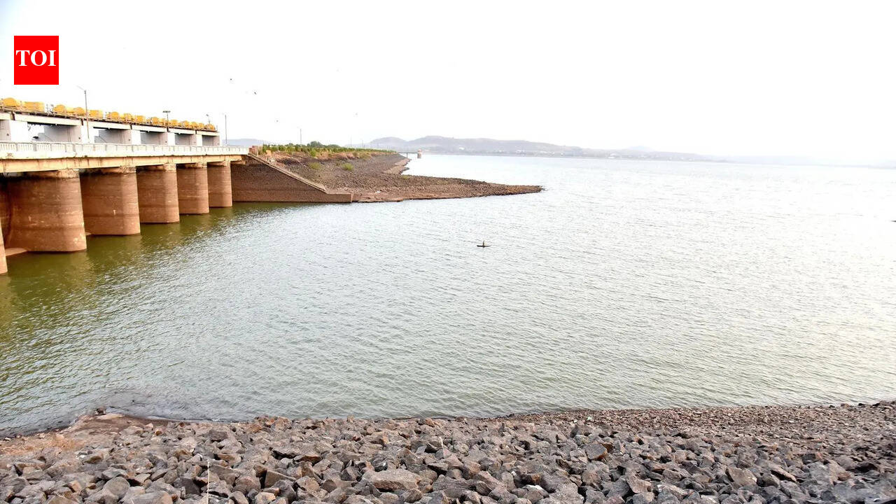 Poll code puts brakes on Gangapur dam deadstock project