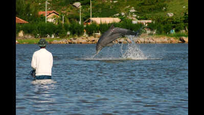 Kerala University signs pact to study evolution of human-dolphin interactions
